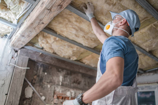 Best Cellulose Insulation  in Energy, IL